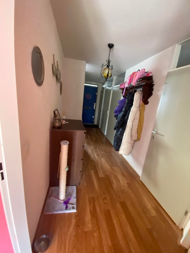 Foto 5 van Bankastraat 169