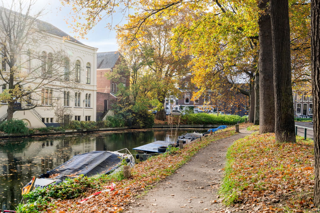 Foto 32 van Kwartelstraat 18-A