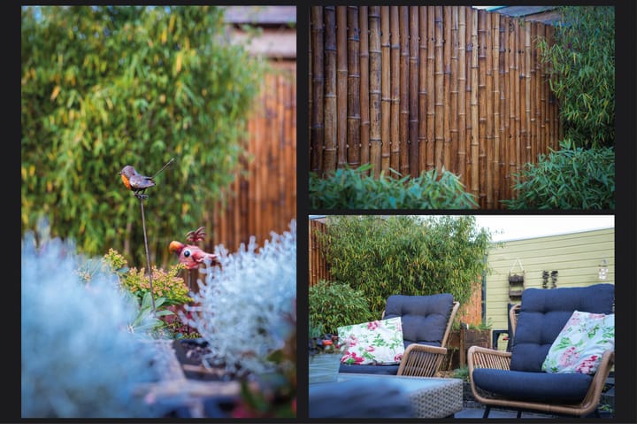 Foto 27 van Lage Huis 14