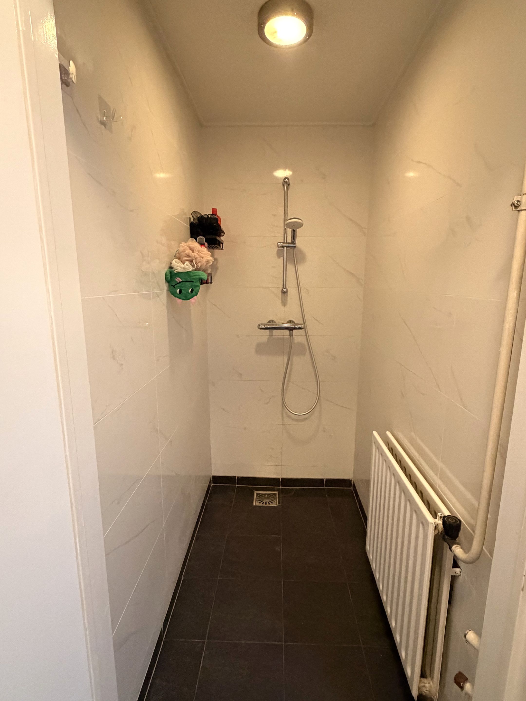 Foto 36 van Predikherenlaan 56