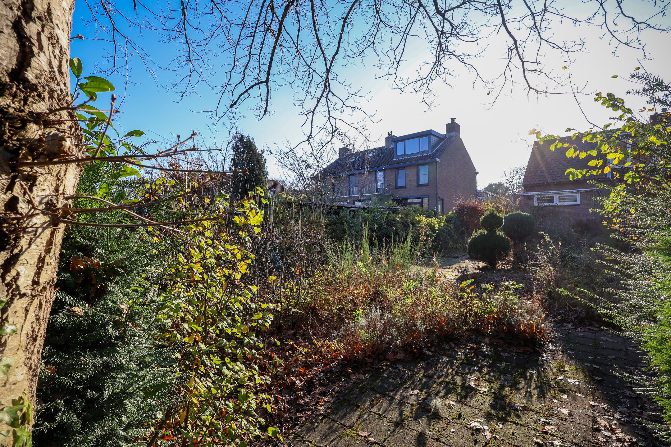 Foto 42 van Schelpenweg 4