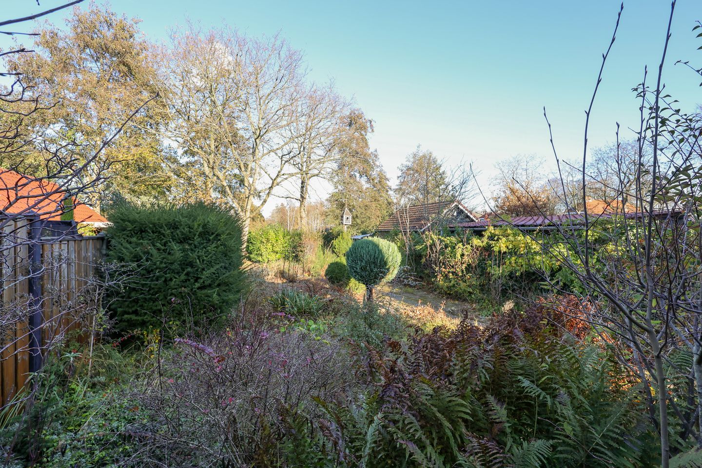 Foto 44 van Schelpenweg 4