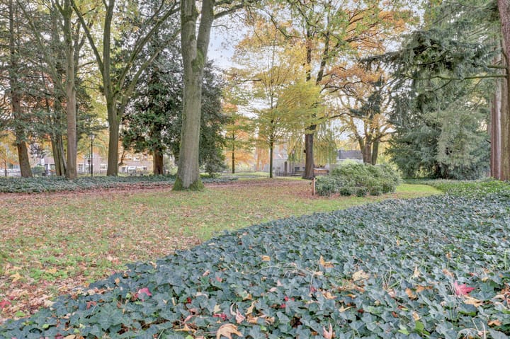 Foto 42 van Heuvel 43