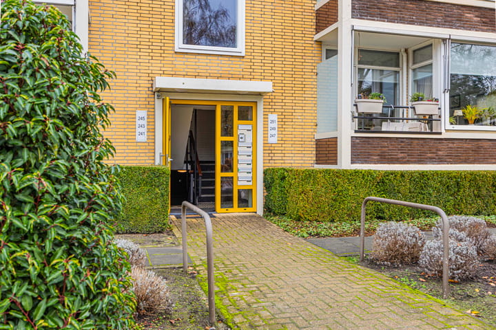 Photo 23 of Espoortstraat 251