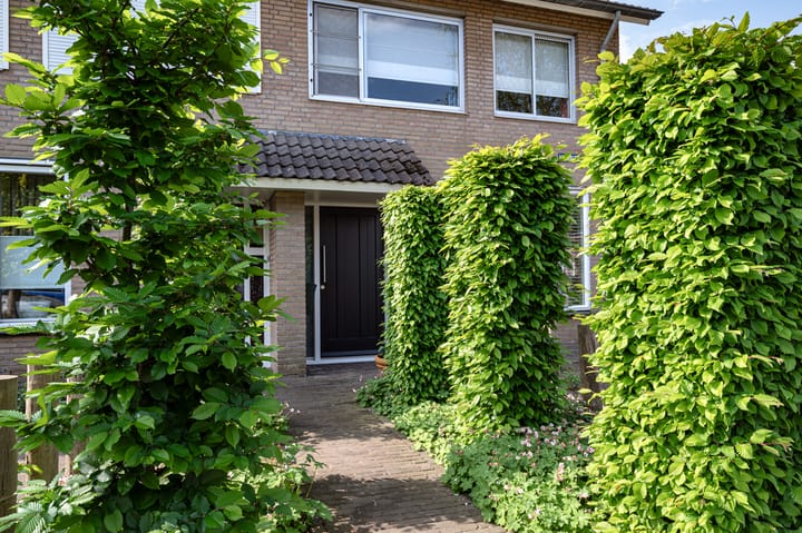 Foto 38 van Mauritsstraat 2