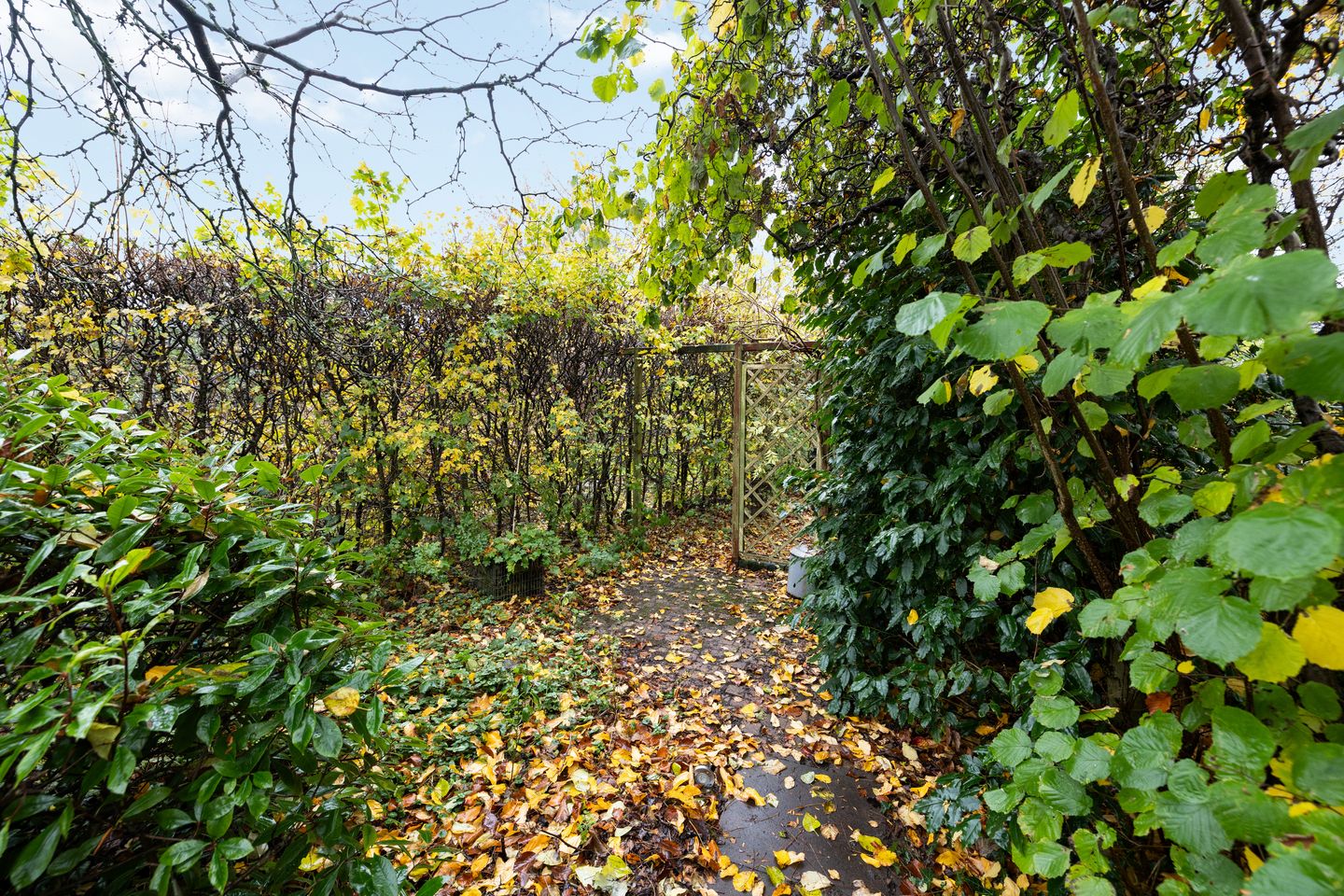 Foto 35 van Betsy Perklaan 9