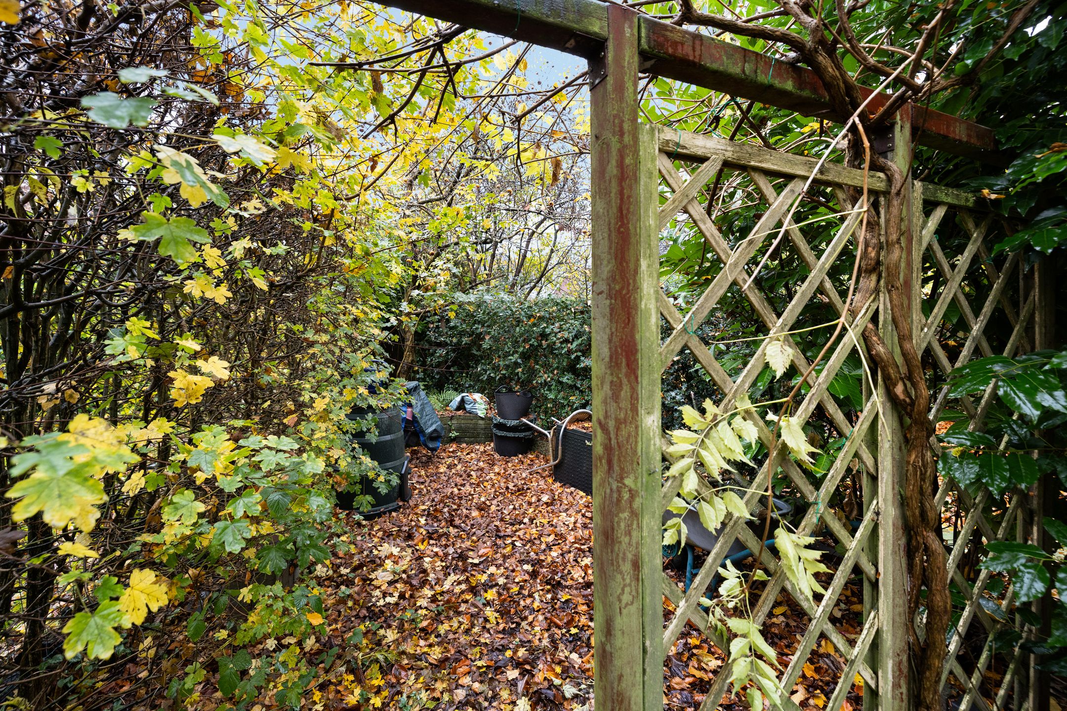 Foto 36 van Betsy Perklaan 9