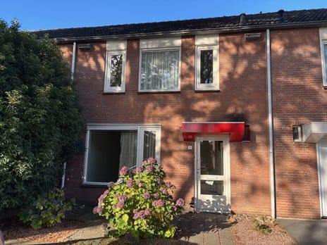 undefined main image