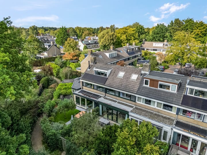 Foto 31 van Koolzaadland 23