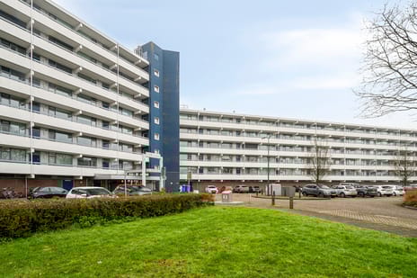 Pollux 153 secondary image