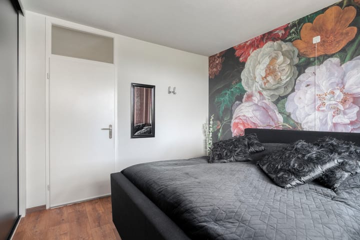 Foto 21 van Pollux 153