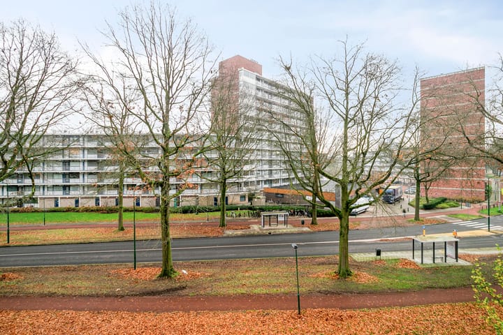 Foto 29 van Pollux 153