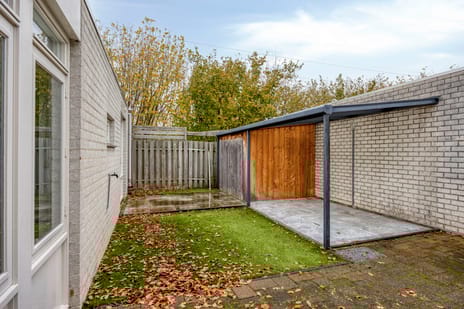 Purperbeer 29 secondary image