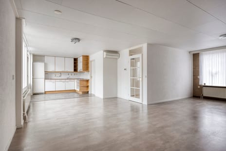 Purperbeer 29 tertiary image