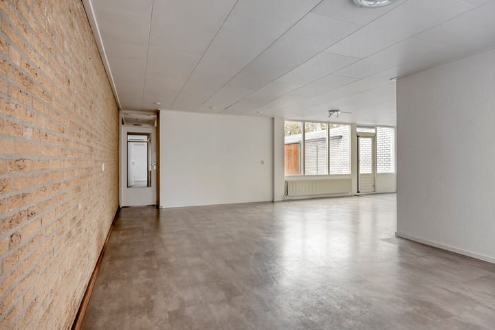 Photo 4 of Purperbeer 29