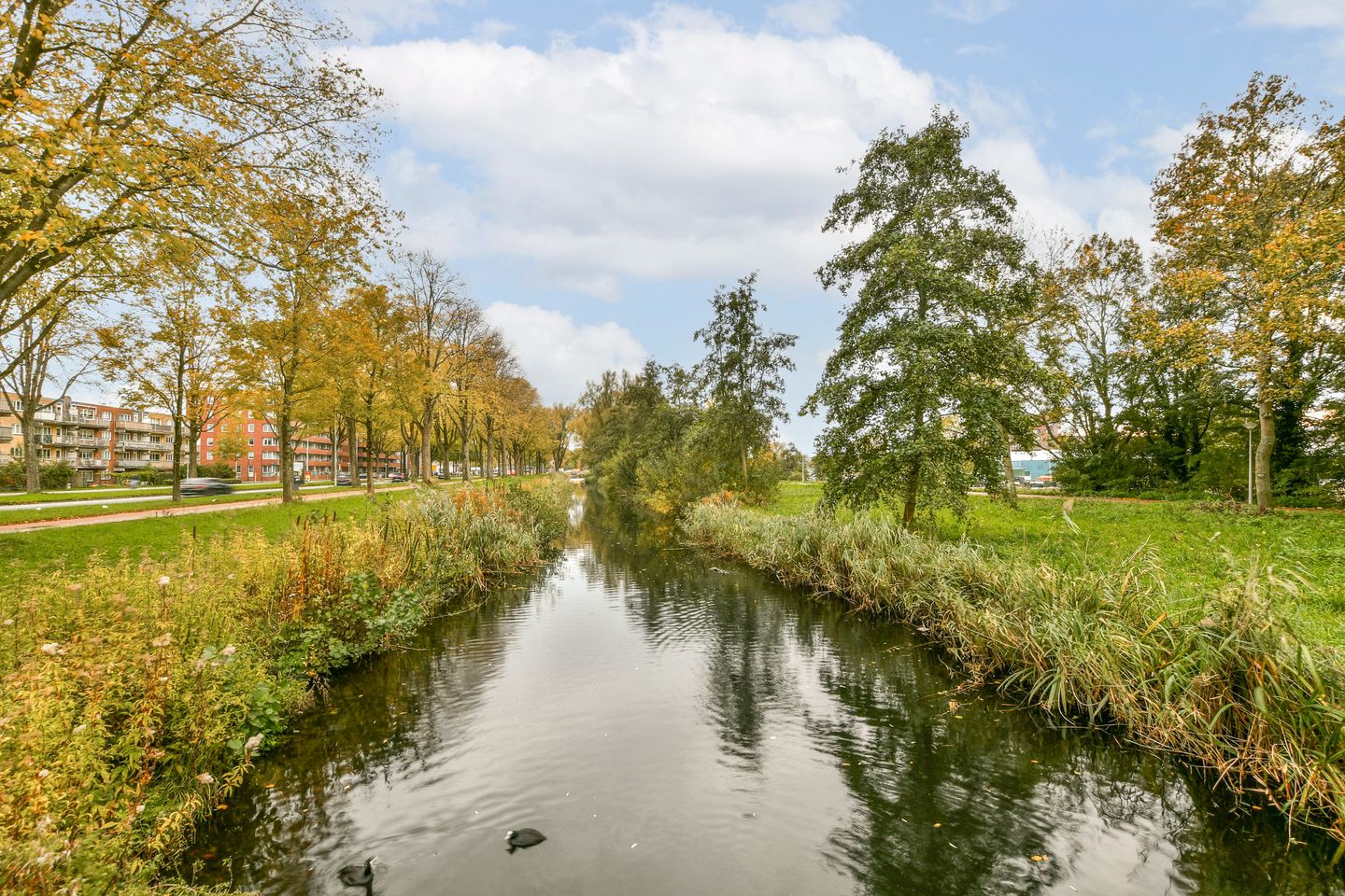 Foto 19 van Baden Powellweg 42-F