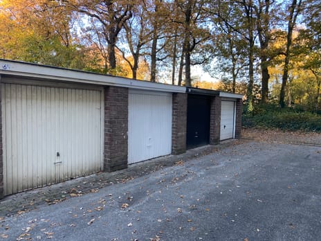 Ranonkelstraat thumbnail