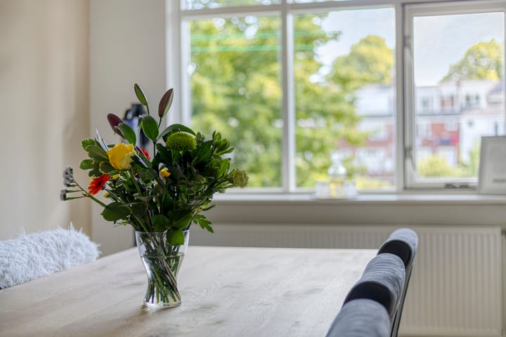 Photo 12 of Van Houtenlaan 98