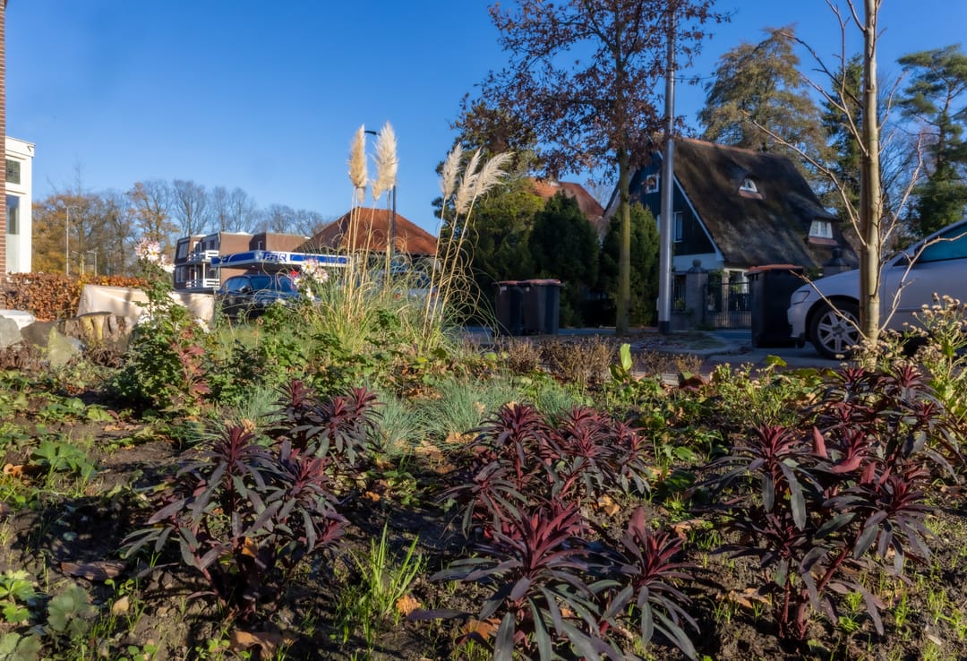 Foto 43 van Oldenzaalsestraat 677