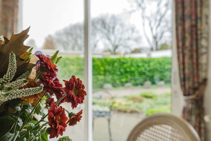 Foto 19 van Willem Elsschotlaan 37