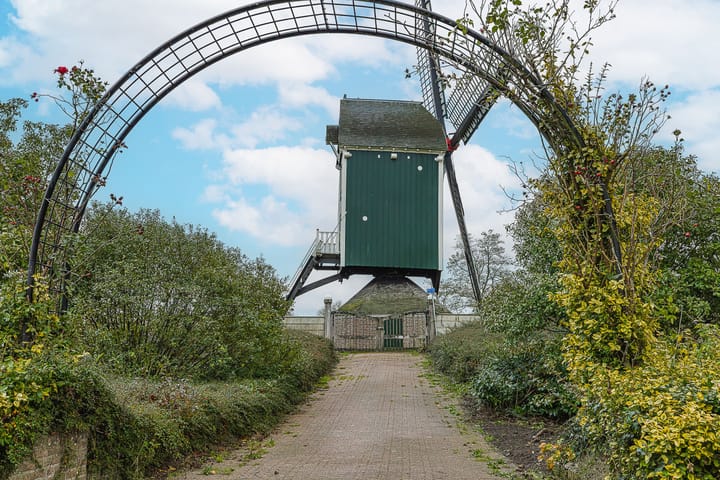 Foto 34 van Willem Elsschotlaan 37