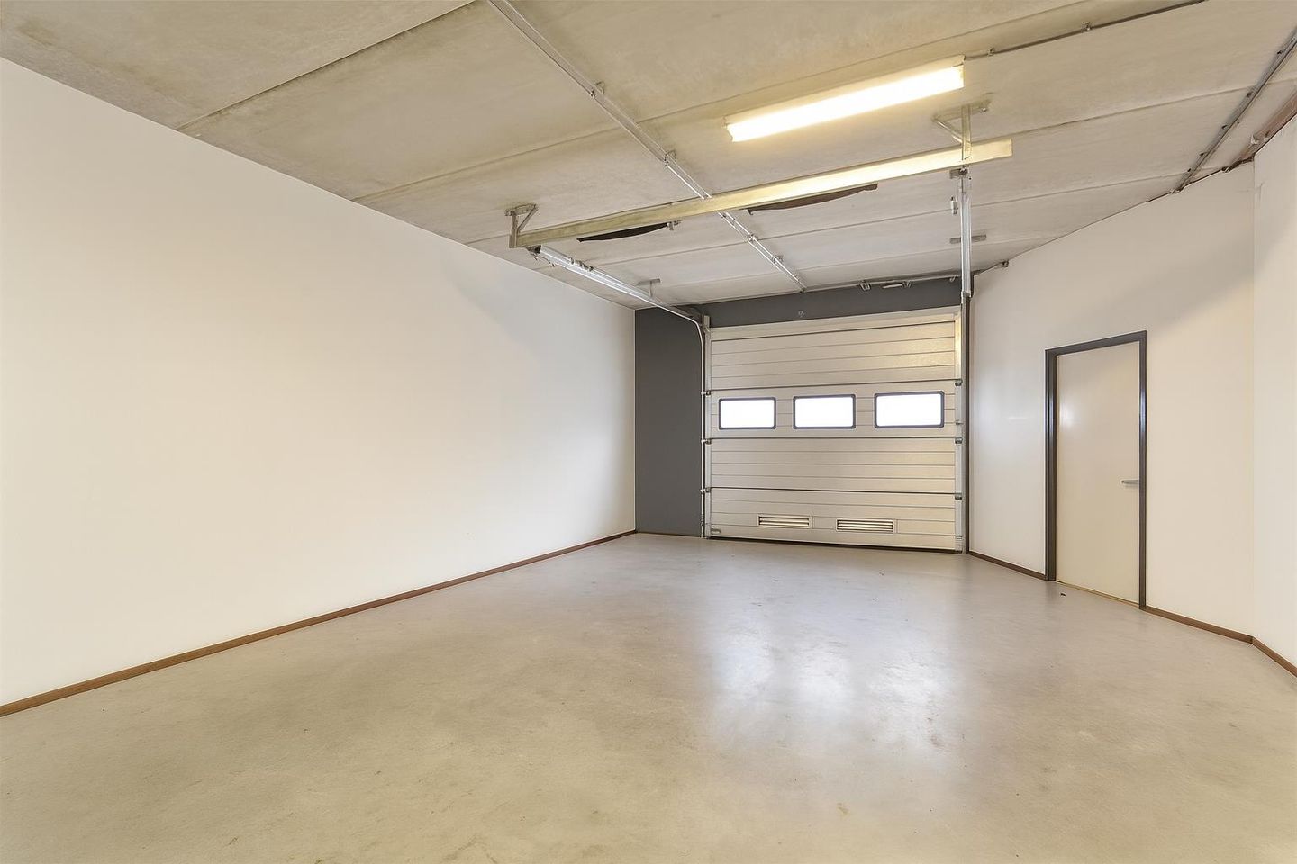 Bekijk foto 3 van Minervum 7446-C