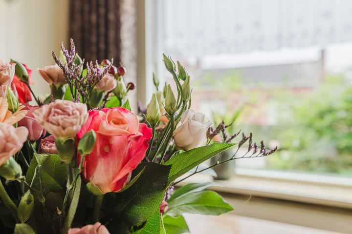 Foto 9 van Zundertseweg 14