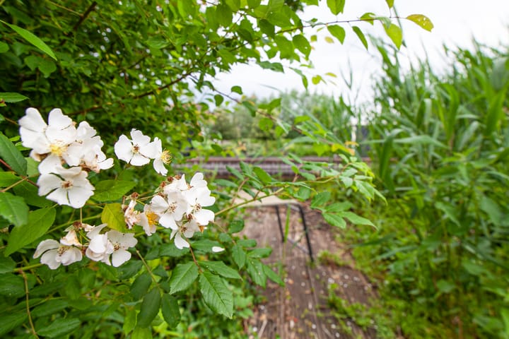 Foto 41 van Oosteinde 11-H91