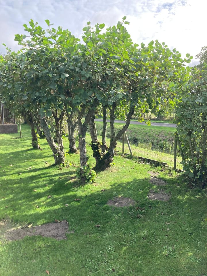 Foto 19 van De Keizerskroon 270