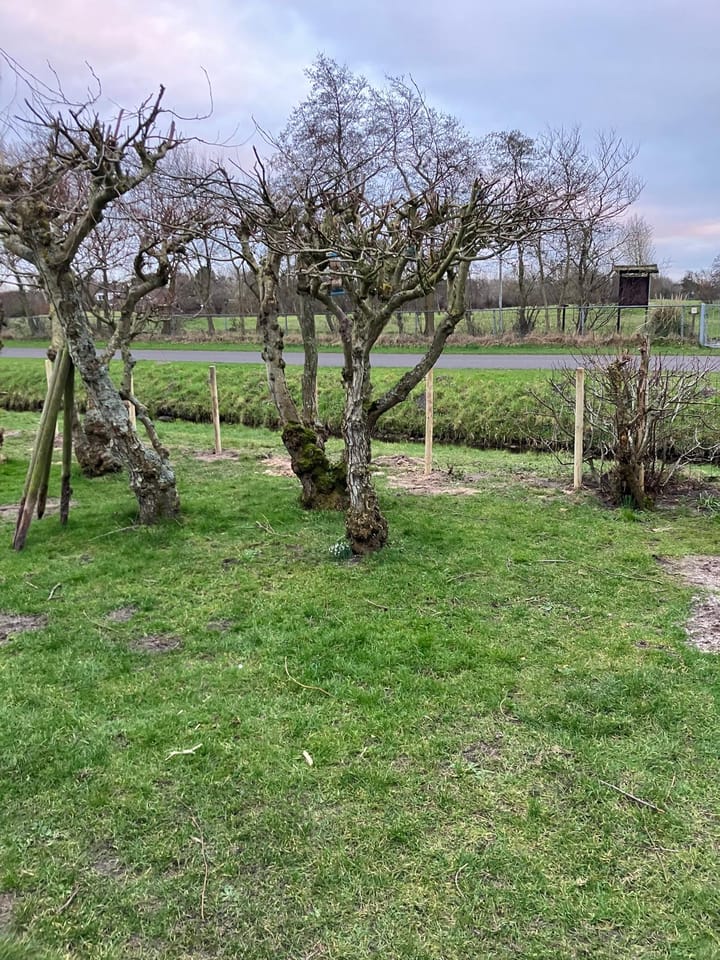 Foto 22 van De Keizerskroon 270