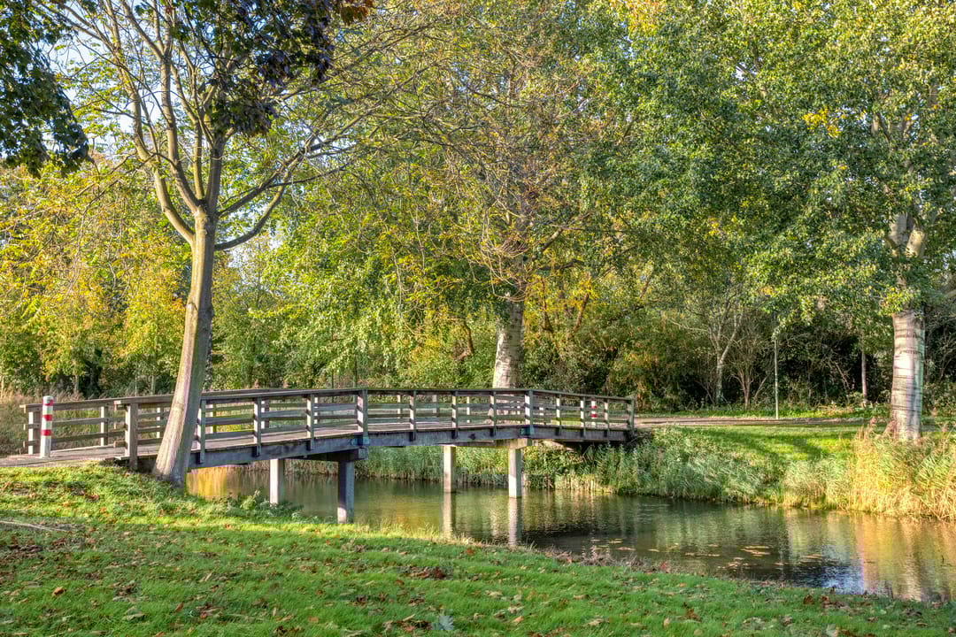 Foto 23 van Philippus de Montestraat 56