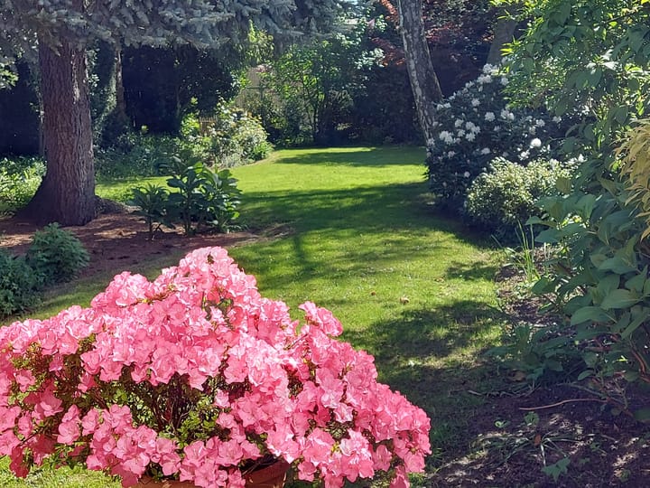 Foto 40 van Westdorplaan 63