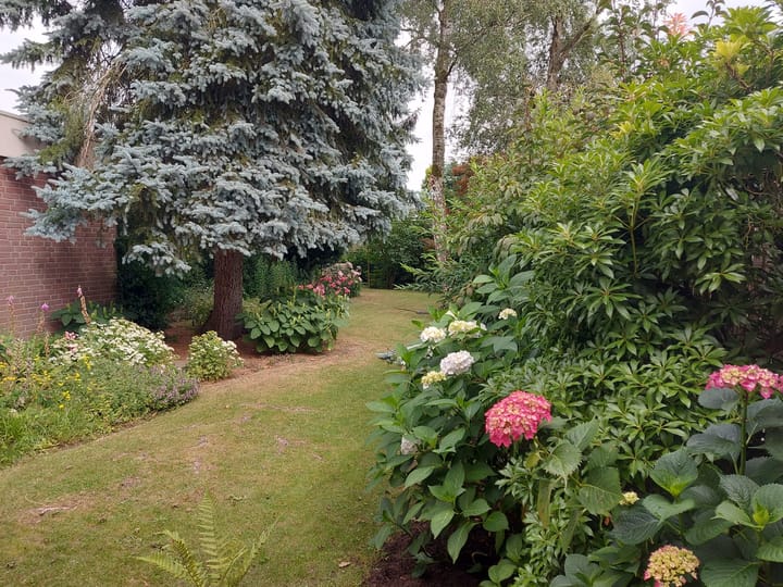 Foto 42 van Westdorplaan 63