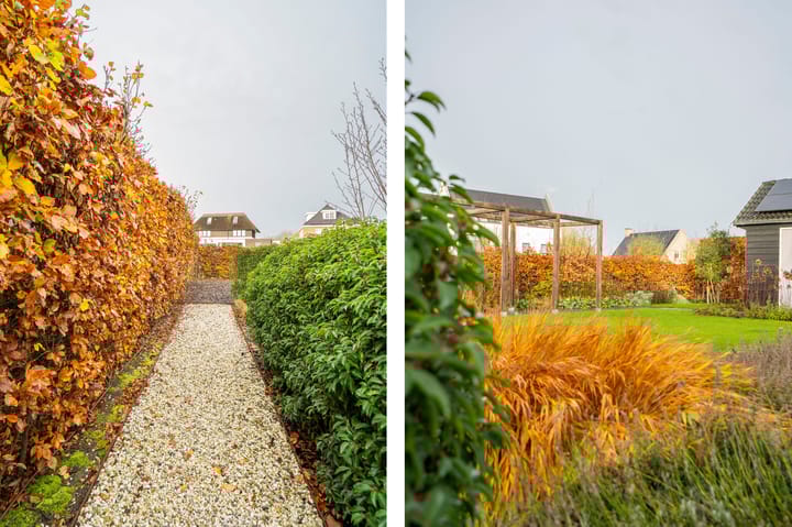 Photo 43 of Buitenbos 14