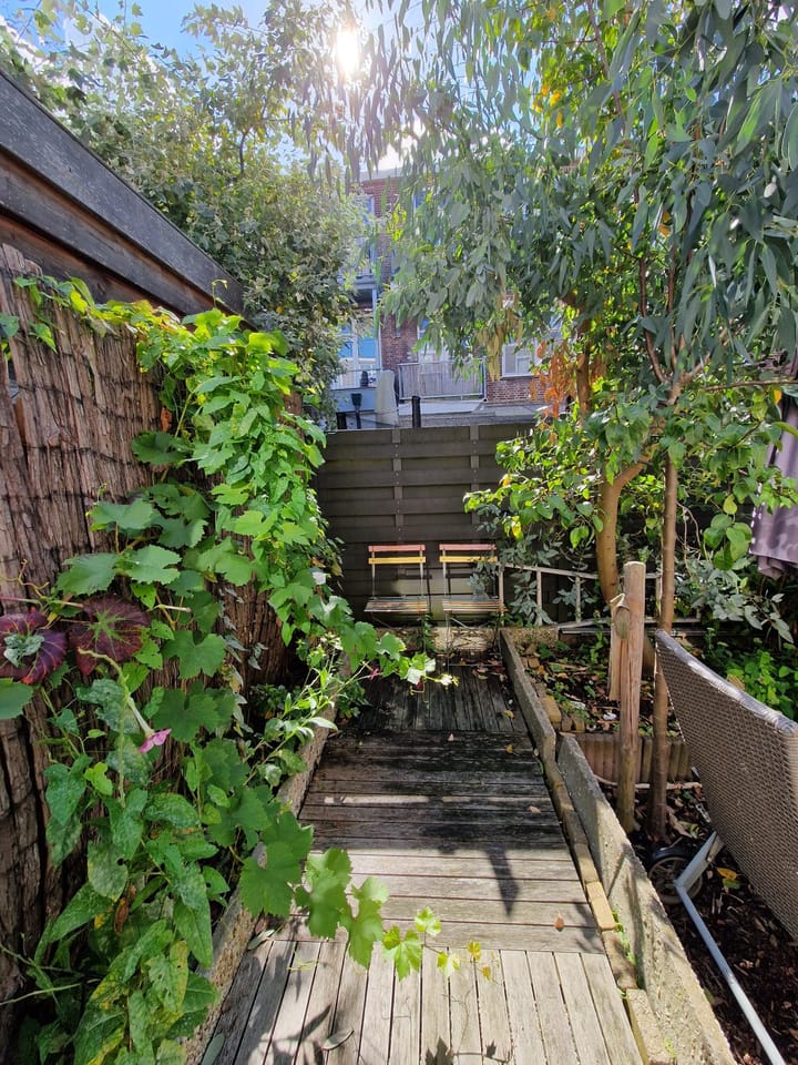 Foto 25 van Spiraeastraat 96