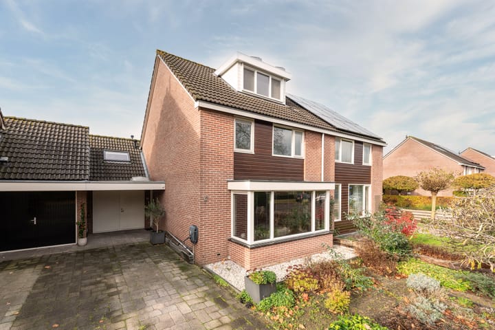 Foto 7 van Esdoorn 25