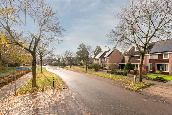 Foto 9 van Esdoorn 25