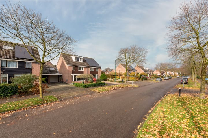 Foto 8 van Esdoorn 25