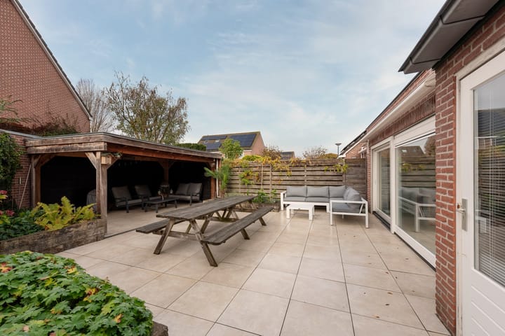 Foto 26 van Esdoorn 25