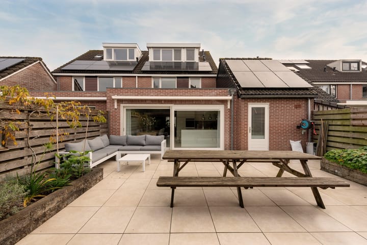 Foto 30 van Esdoorn 25