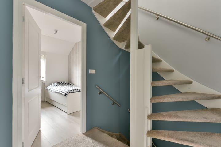 Foto 40 van Esdoorn 25