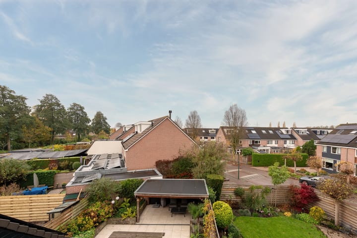 Foto 48 van Esdoorn 25