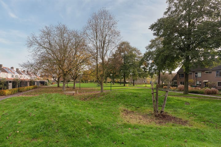 Foto 50 van Esdoorn 25