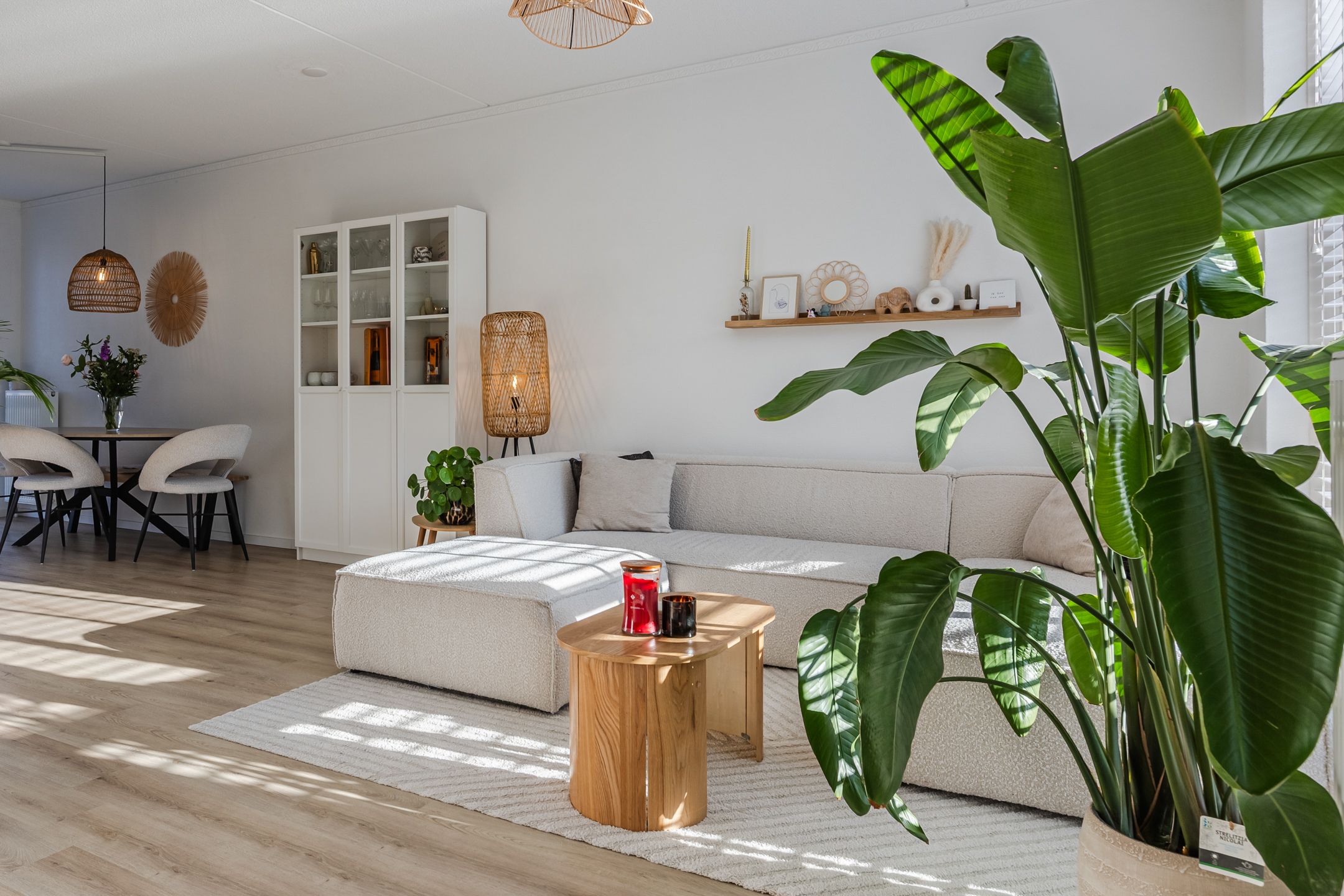 Photo 15 of Burgemeester Van Stapelestraat 7