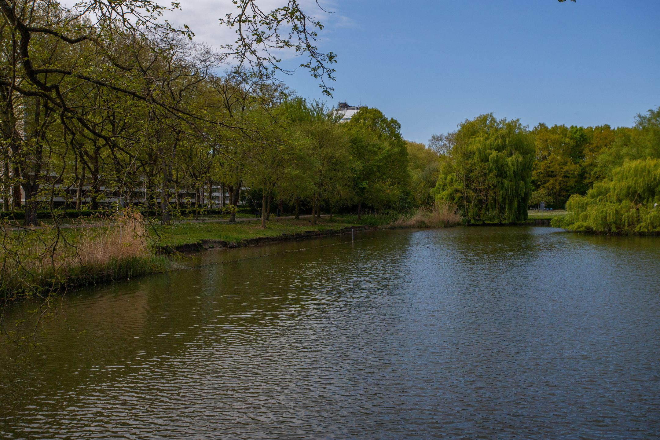 Photo 24 of Marco Pololaan 199