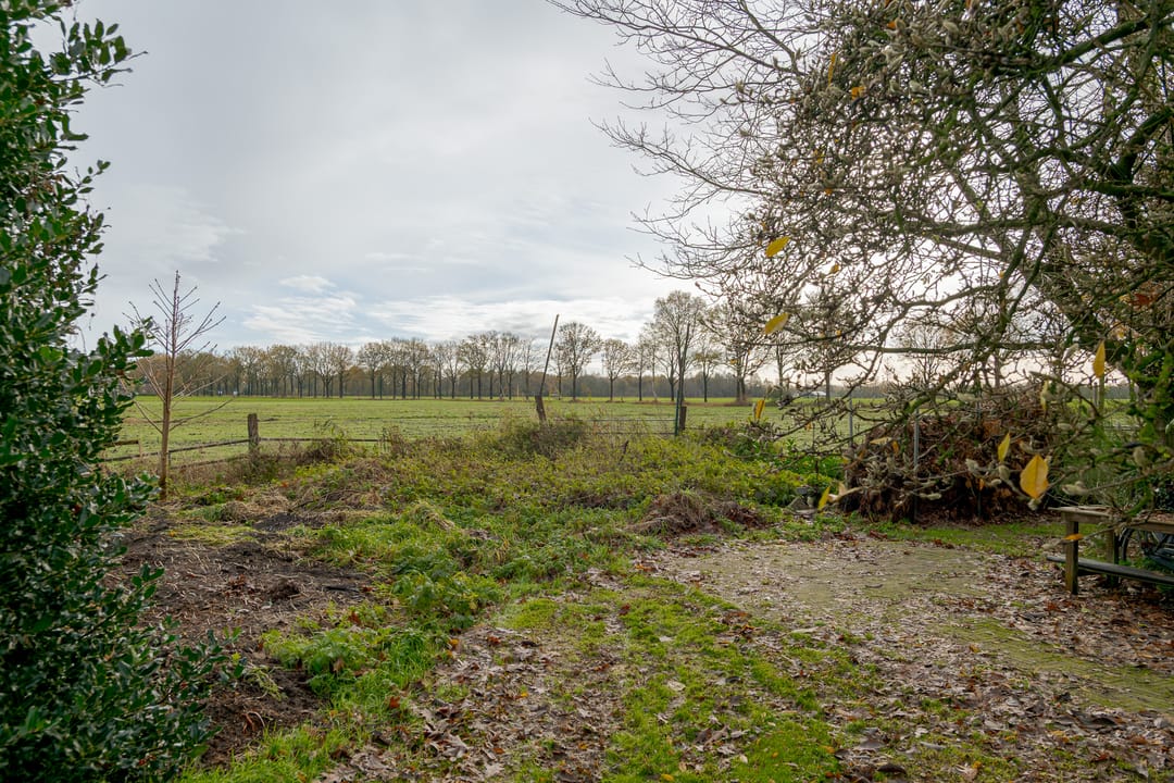 Foto 88 van Veldstreek 17