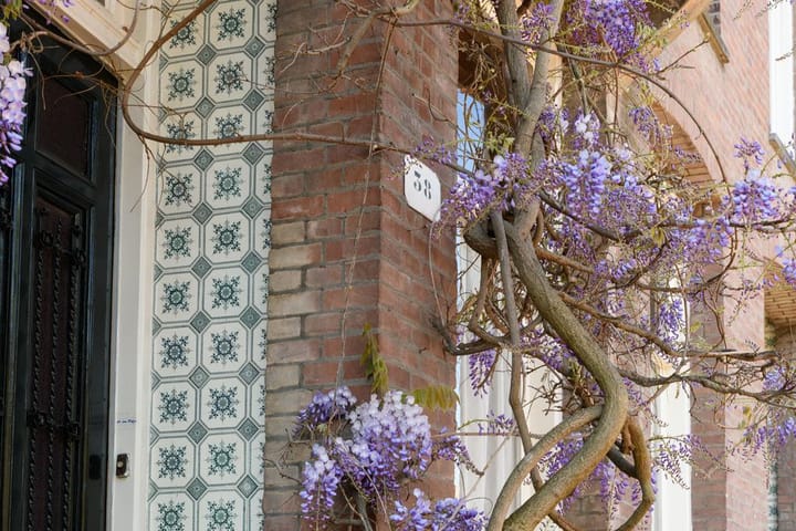 Foto 33 van Da Costakade 38-2