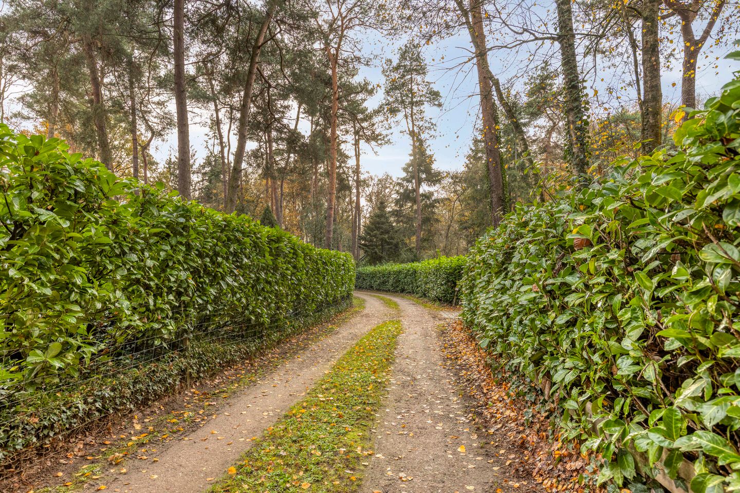 Photo 49 of Vijverweg 1