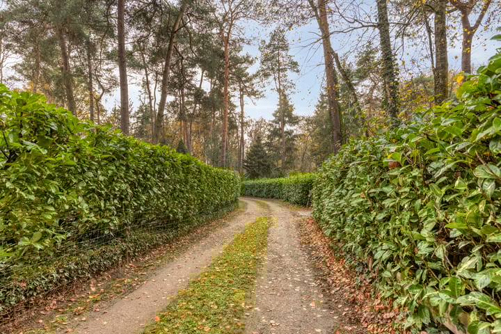 Foto 49 van Vijverweg 1