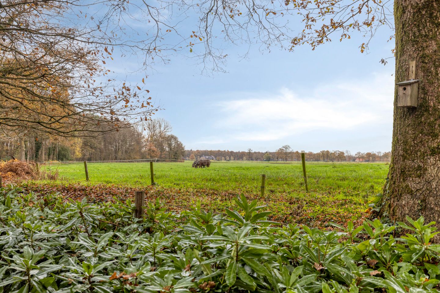 Photo 50 of Vijverweg 1